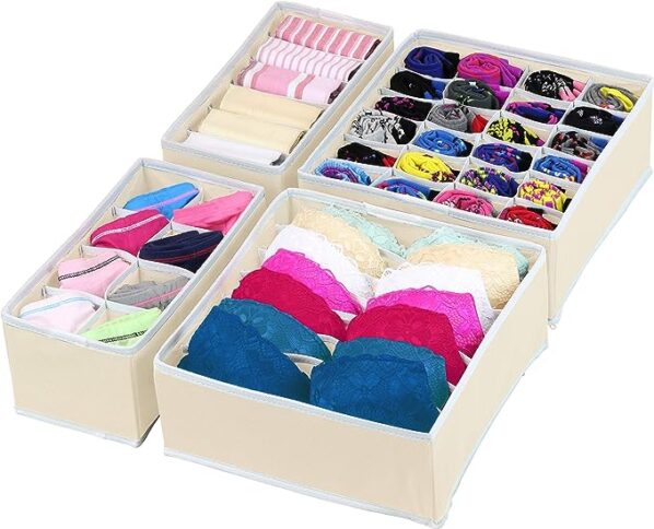 Underwear Organizer