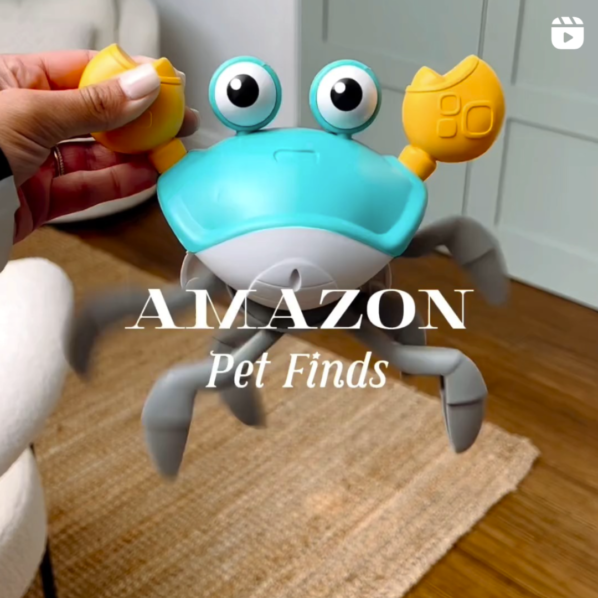 Adorable products your furry friends will love