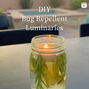 Homemade natural luminaries to keep the bugs away!